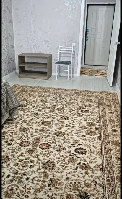 1 комната, 47 м², Элитка, 8 этаж, Евроремонт Бишкек - изображение 6