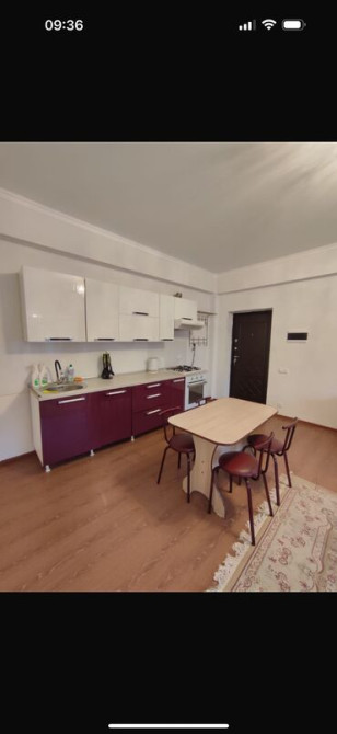 2 комнаты, Бытовая техника, Душевая кабина, Парковка Bishkek - photo 6