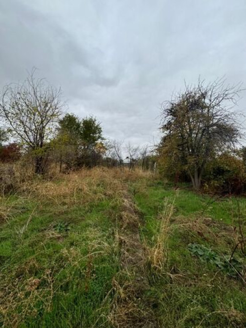 Дача, 40 м², 3 комнаты, Собственник, Косметический ремонт Bishkek - photo 3