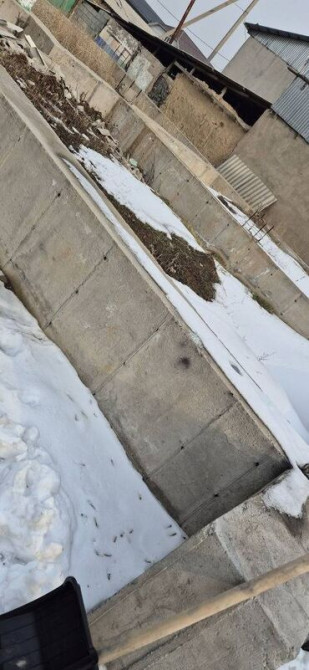 Дом, 60 м², 4 комнаты, Агентство недвижимости, Косметический ремонт Бишкек - изображение 7