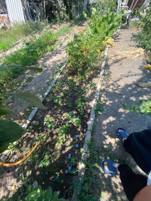 Дача, 40 м², 2 комнаты, Собственник, Старый ремонт Бишкек - изображение 1