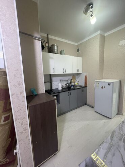 1 комната, 42 м², Элитка, 12 этаж, Евроремонт Бишкек - изображение 4