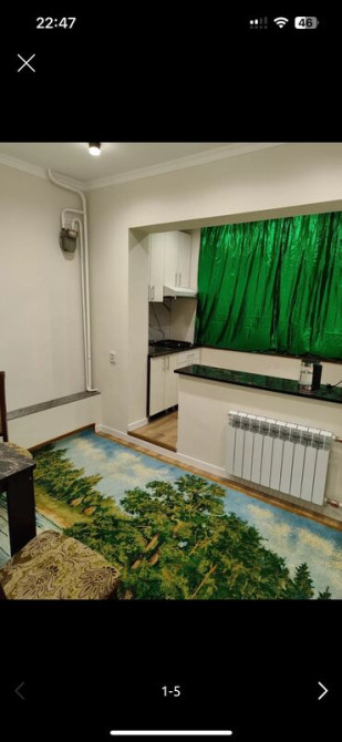 1 комната, 44 м², 106 серия, 2 этаж, Евроремонт Бишкек - изображение 5