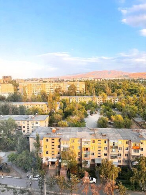 2 комнаты, 60 м², Элитка, 11 этаж, Косметический ремонт Бишкек - изображение 7