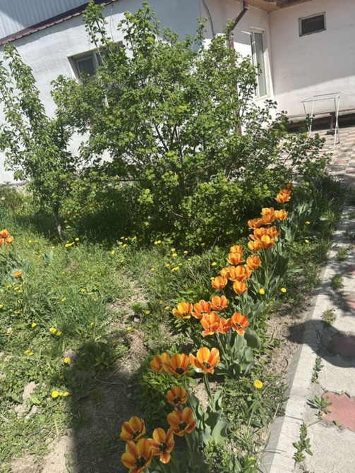 Дом, 100 м², 6 комнат, Собственник Бишкек - сүрөт 1