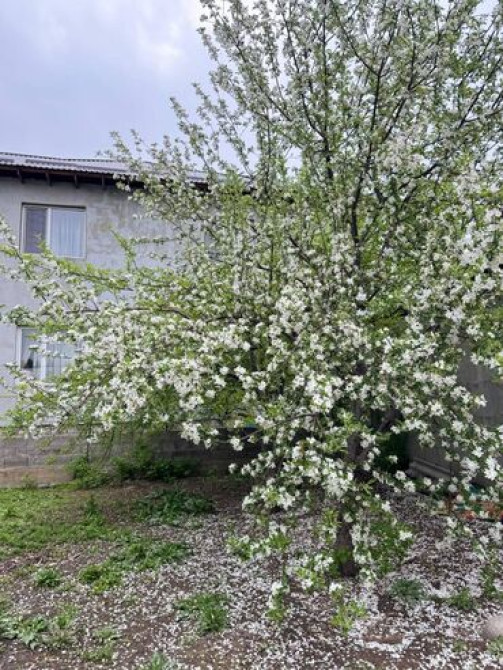 Времянка, 83 м², 7 комнат, Собственник, Старый ремонт Бишкек - сүрөт 2