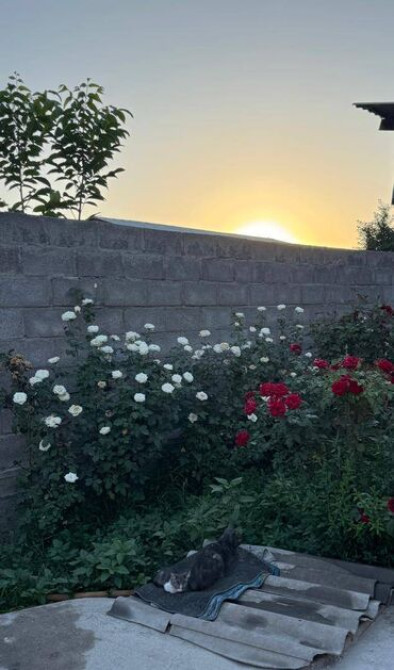 Времянка, 83 м², 7 комнат, Собственник, Старый ремонт Бишкек - сүрөт 1