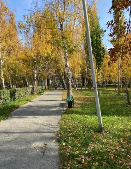 2 комнаты, 43 м², 104 серия, 1 этаж, Косметический ремонт Бишкек - изображение 3