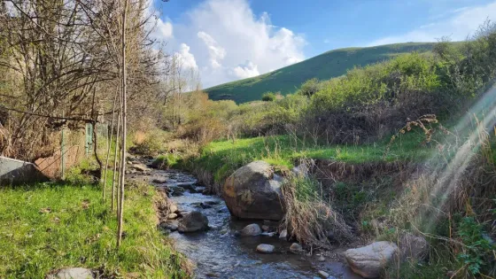Уютный дачный домик с участком у речки!!! В районе Горной Маевки Бишкек