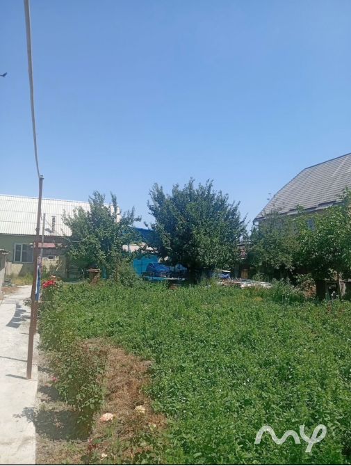 Продам дом с большим участком и с садом имеется навес на 4 машины дом находится в с.Новопавловка Бишкек - изображение 2