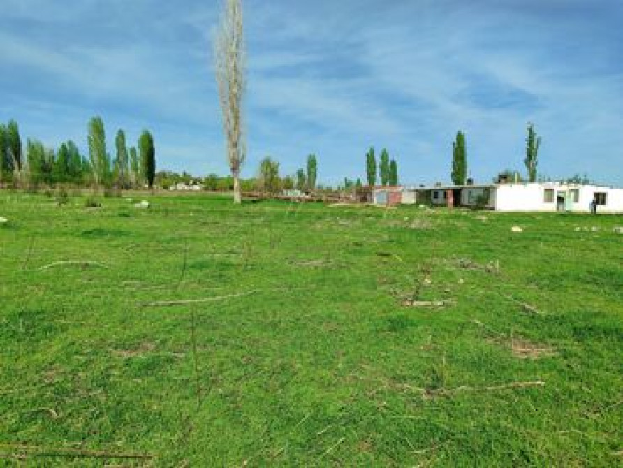 Сдаю 50 соток земли с кашарой + 3 комнаты адрес: Кызыл- Туу айыл Бишкек - сүрөт 5