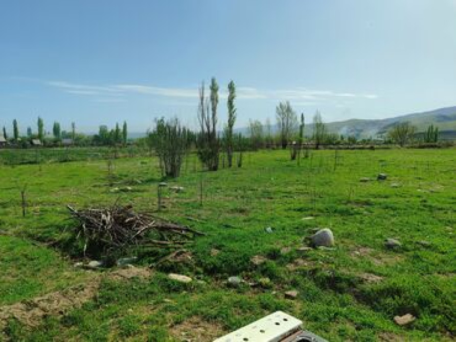 Сдаю 50 соток земли с кашарой + 3 комнаты адрес: Кызыл- Туу айыл Бишкек - сүрөт 3