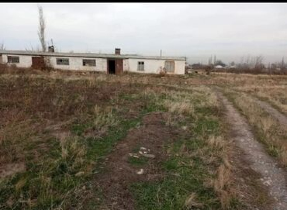 Сдаю 50 соток земли с кашарой + 3 комнаты адрес: Кызыл- Туу айыл Бишкек - сүрөт 1