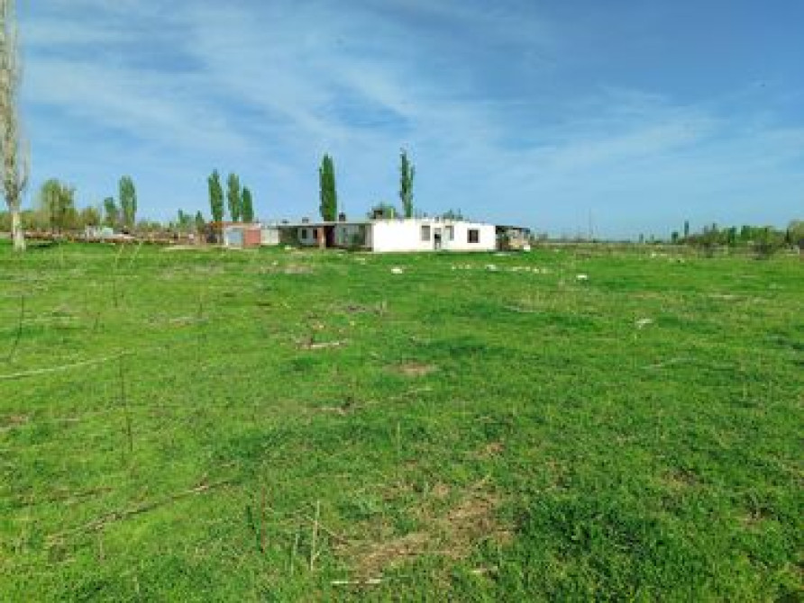 Сдаю 50 соток земли с кашарой + 3 комнаты адрес: Кызыл- Туу айыл Бишкек - сүрөт 6