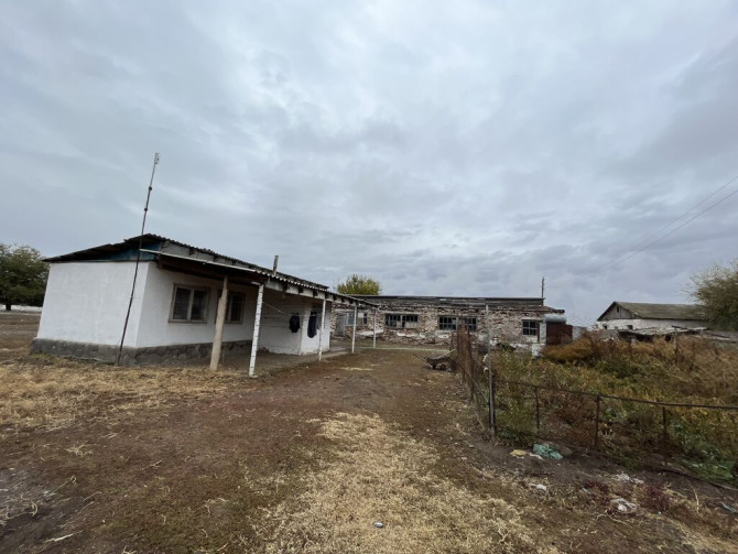 Продается ферма (сарай) в г.Кара-Балта, село Ак-Башат. 3х комнатная Бишкек - изображение 1