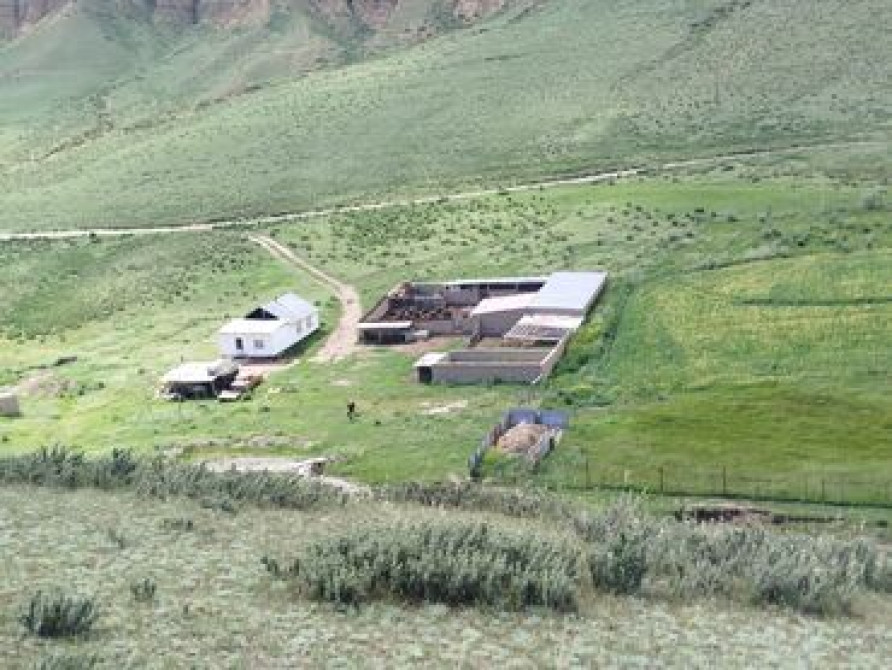 5 соток, Для сельского хозяйства, Красная книга Бишкек - изображение 1