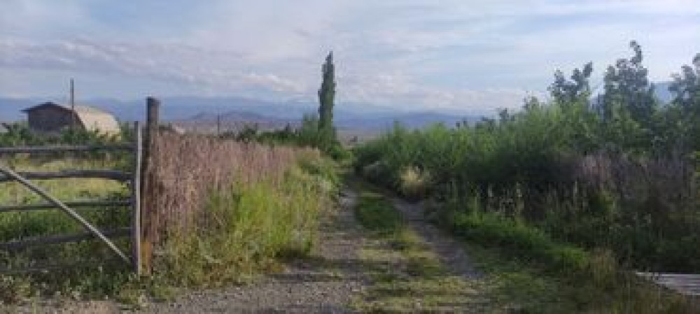 12 соток, Для сельского хозяйства, Красная книга, Тех паспорт Бишкек - изображение 5