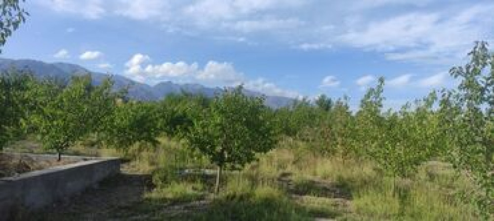 12 соток, Для сельского хозяйства, Красная книга, Тех паспорт Бишкек - изображение 3