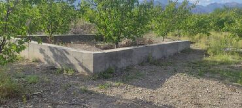 12 соток, Для сельского хозяйства, Красная книга, Тех паспорт Бишкек - изображение 7