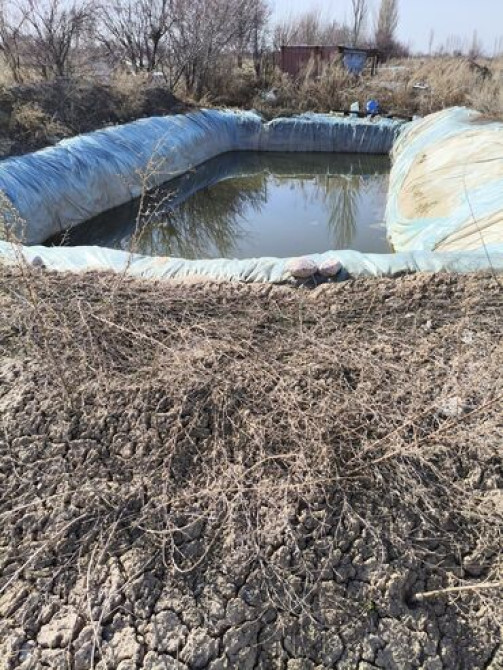 2 соток, Для сельского хозяйства Бишкек - изображение 3