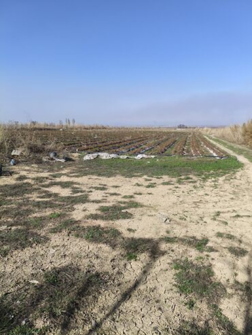 2 соток, Для сельского хозяйства Бишкек - изображение 4