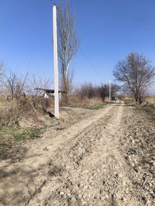 2 соток, Для сельского хозяйства Бишкек - изображение 5