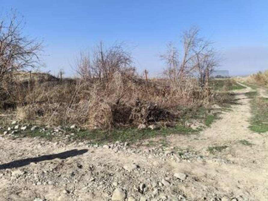 2 соток, Для сельского хозяйства Бишкек - изображение 1