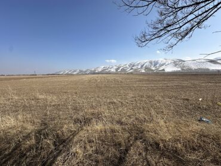 525 соток, Для сельского хозяйства, Красная книга Bishkek - photo 2