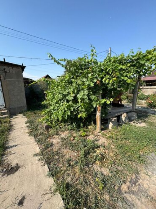 2 соток, Для строительства, Красная книга Бишкек - изображение 7