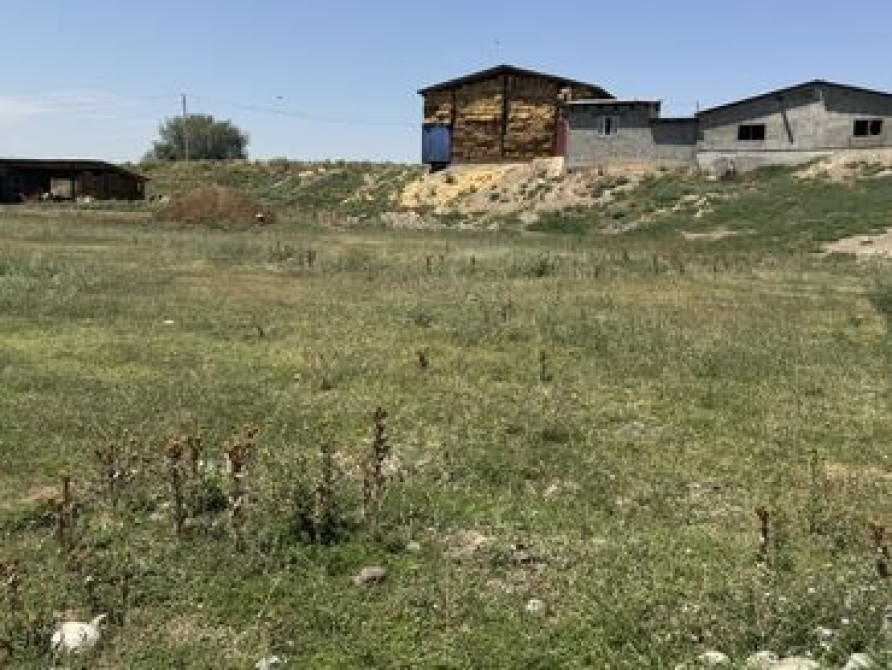 50 соток, Для сельского хозяйства, Красная книга, Договор купли-продажи Bishkek - photo 1