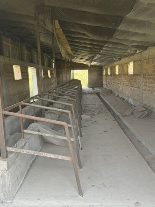 50 соток, Для сельского хозяйства, Красная книга, Договор купли-продажи Bishkek - photo 3