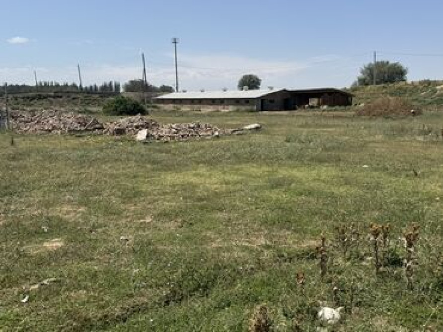 50 соток, Для сельского хозяйства, Красная книга, Договор купли-продажи Bishkek - photo 2