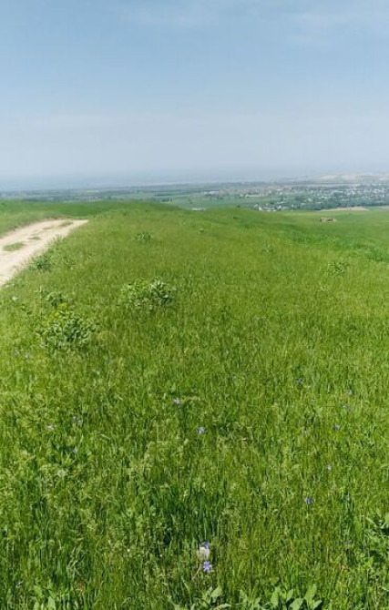 «Воронцовка» Бел- Булак тоо тарапта Айыл чарба багытына ылайык.н Бишкек - изображение 1