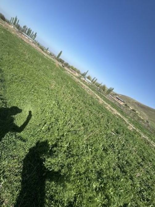 12 соток, Для бизнеса, Красная книга Бишкек - сүрөт 5