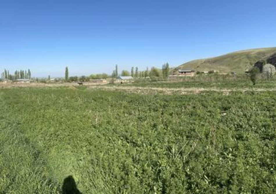 12 соток, Для бизнеса, Красная книга Бишкек - сүрөт 3