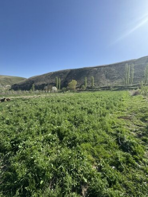 12 соток, Для бизнеса, Красная книга Бишкек - сүрөт 6