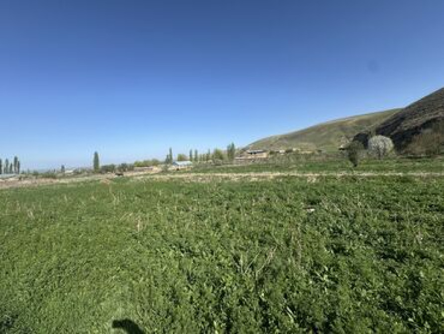 12 соток, Для бизнеса, Красная книга Бишкек - сүрөт 4