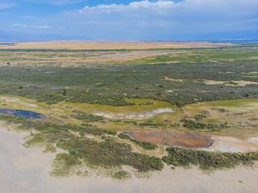 10000 соток, Для бизнеса Бишкек - сүрөт 6