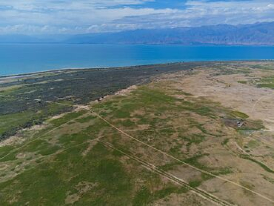10000 соток, Для бизнеса Бишкек - сүрөт 3