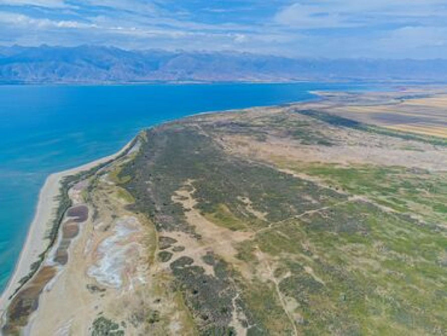 10000 соток, Для бизнеса Бишкек - сүрөт 1