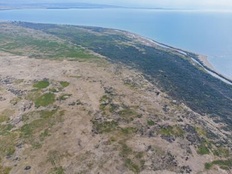 10000 соток, Для бизнеса Бишкек - сүрөт 4