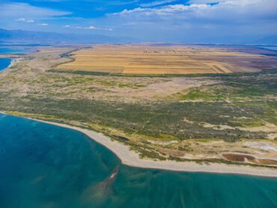 10000 соток, Для бизнеса Бишкек - сүрөт 2