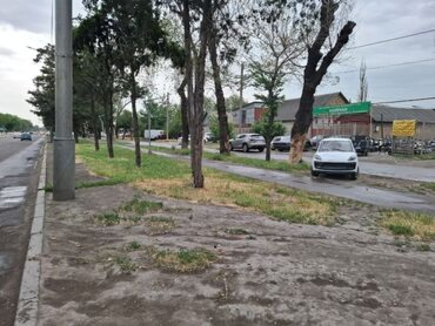 5 соток, Для строительства, Красная книга, Договор купли-продажи Бишкек - сүрөт 3