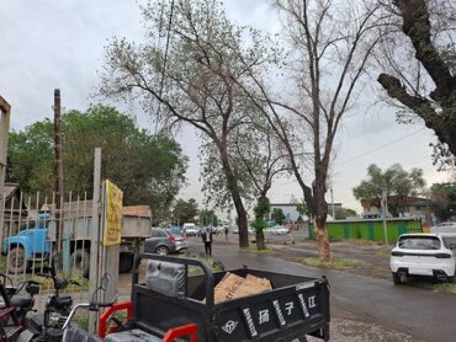 5 соток, Для строительства, Красная книга, Договор купли-продажи Бишкек - сүрөт 2