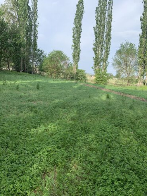 15 соток, Для строительства, Красная книга Bishkek - photo 2