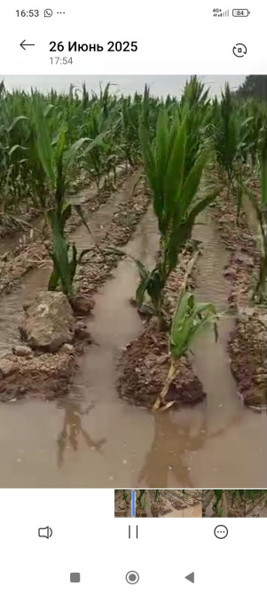 Для сельского хозяйства Bishkek - photo 1