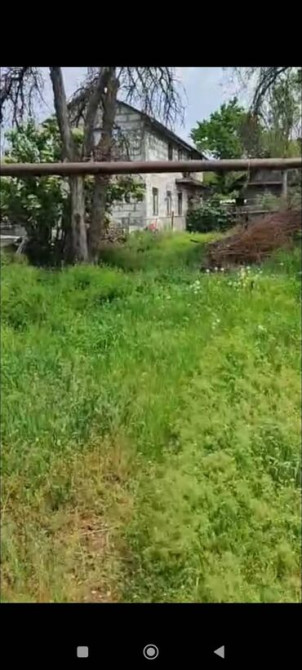 Красная книга, Тех паспорт Bishkek - photo 3