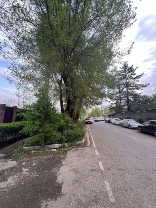 22 соток, Для бизнеса, Красная книга Бишкек - сүрөт 5