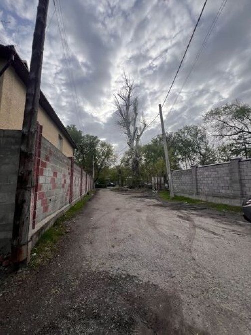 22 соток, Для бизнеса, Красная книга Бишкек - сүрөт 6