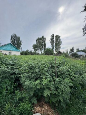4 соток, Для строительства, Красная книга Бишкек - сүрөт 5